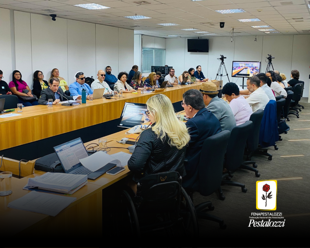 Foto com a parte inferior levemente escurecida e marca completa no canto inferior direito. Os conselheiros do Conade estão reunidos diante de uma mesa em formato de U, de cor clara. São pessoas não identificadas que estão de frente uma para a outra.